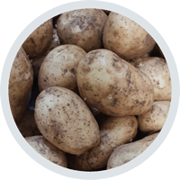 Patatas Yago - Patata Frisia