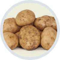 Patatas Yago - Patata Kennebec