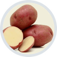 Patatas Yago - Patata Red Pontiac - Roja